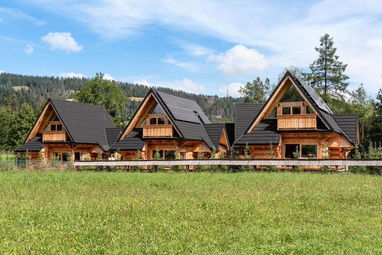 Śnieżna Dolina - Sobiczkowa Bór Luxury Chalets Kościelisko Exterior foto