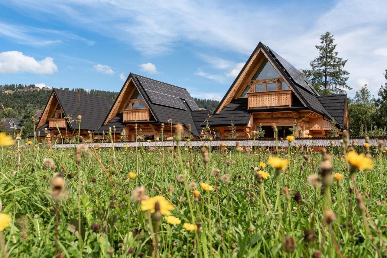 Śnieżna Dolina - Sobiczkowa Bór Luxury Chalets Kościelisko Exterior foto